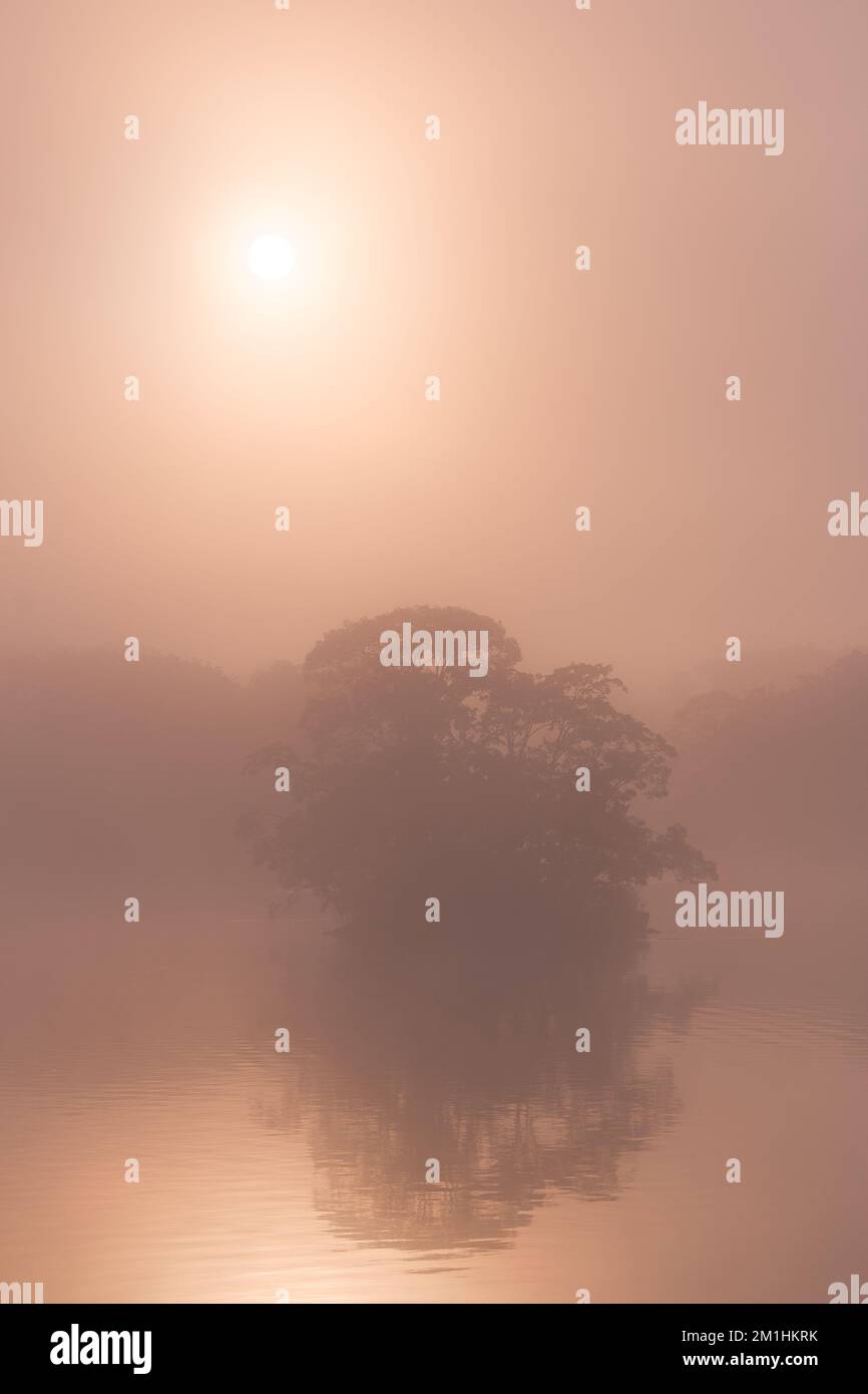 Die Morgensonne scheint durch Nebel über dem See Stockfoto Die Morgensonne scheint durch Nebel über dem See Stockfoto