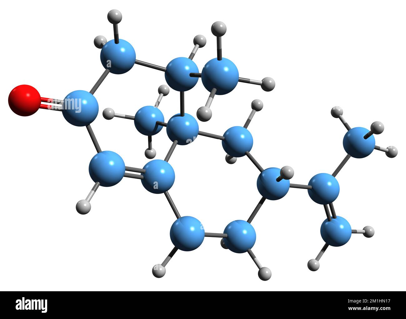 3D-Bild der Nootkaton-Skelettformel - molekularchemische Struktur des auf weißem Hintergrund isolierten Sesquiterpenoids Stockfoto