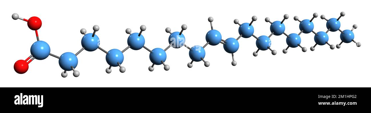 3D-Bild der Oleiinsäure-Skelettformel - molekularchemische Struktur der Omega-9-Octadecensäure isoliert auf weißem Hintergrund Stockfoto