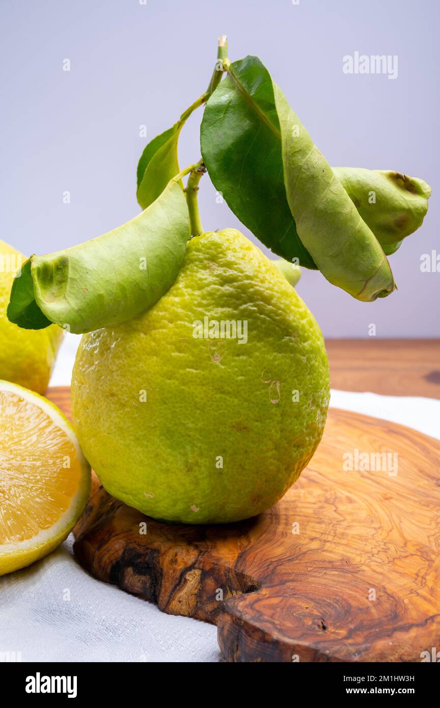 Auswahl an Zitrusfrüchten, reifer Bergamotte und Zitronencitron Cedrate oder Citrus Medica, große, duftende Zitrusfrüchte mit dicker Rinde Stockfoto