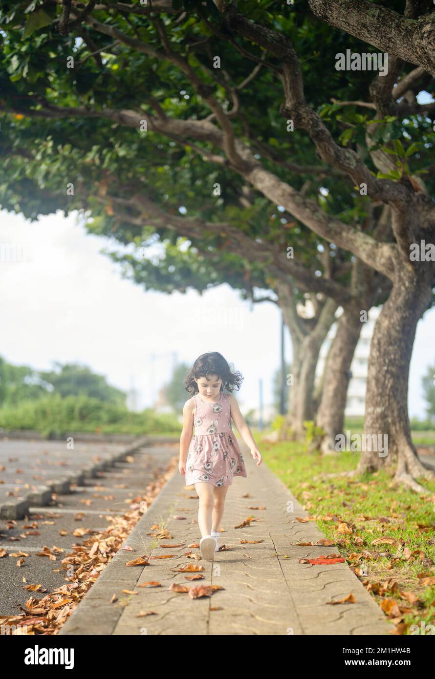 4-jähriges Mädchen, das im Herbst vorbeispaziert. Stockfoto