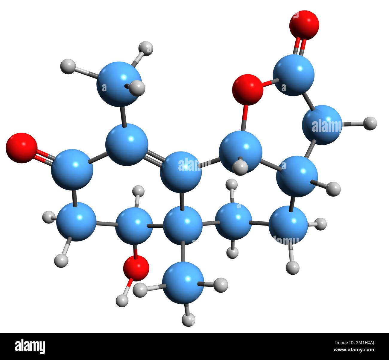 3D-Bild der Picridin-Skelettformel - molekularchemische Struktur phytochemischer Isolationen auf weißem Hintergrund Stockfoto