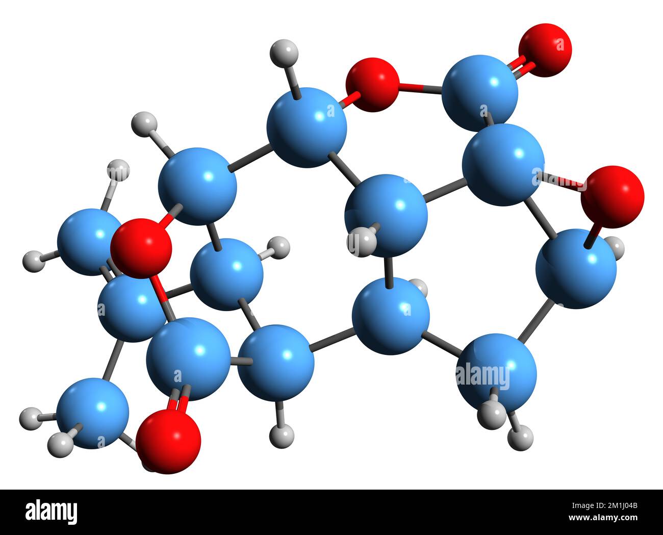 3D-Bild der Pyrotoxinin-Skelettformel - molekularchemische Struktur organischer Verbindungen, isoliert auf weißem Hintergrund Stockfoto