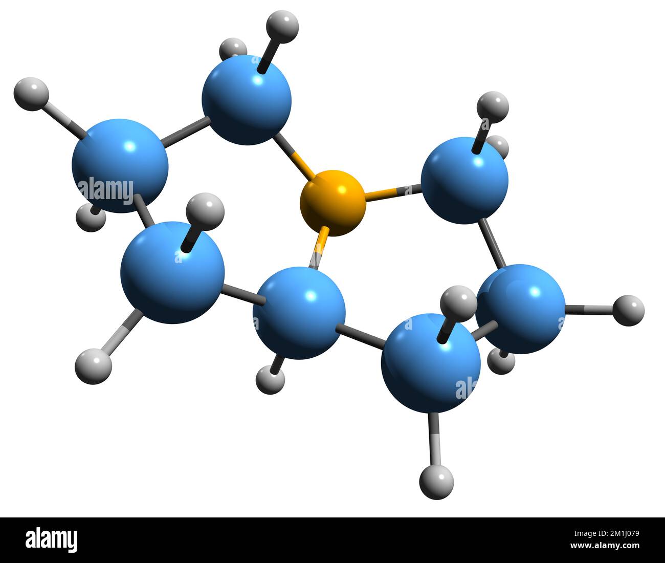 3D-Bild der Pyrrolizidin-Skelettformel - molekularchemische Struktur heterocyclischer organischer Verbindungen, isoliert auf weißem Hintergrund Stockfoto