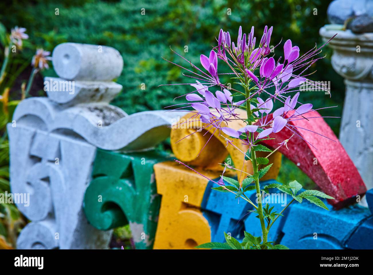 Gärten mit rosafarbenen Blumen mit alten asiatischen Schriftzügen Stockfoto