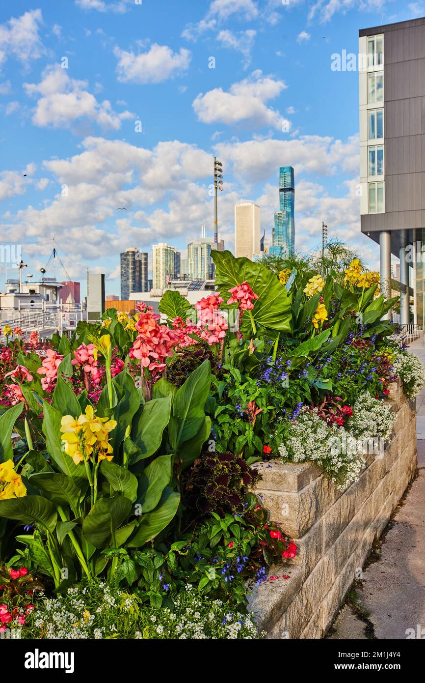 Wunderschöne Blumenbeete am Navy Pier in Chicago mit Skyline in der Ferne Stockfoto