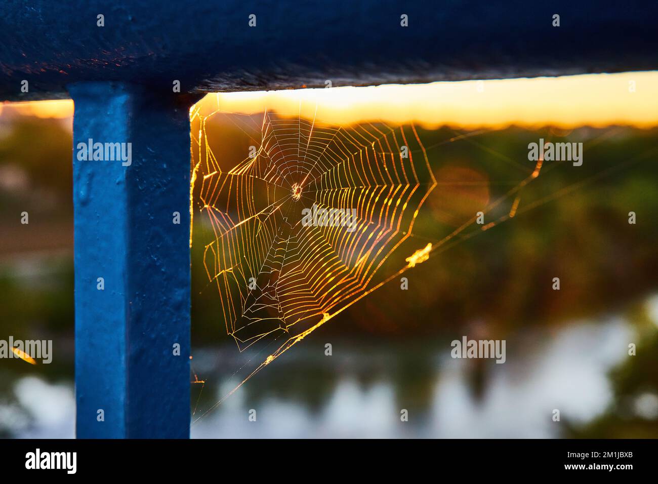 Detailliertes kleines Spinnennetz auf blauem Geländer mit goldenem Licht dahinter Stockfoto
