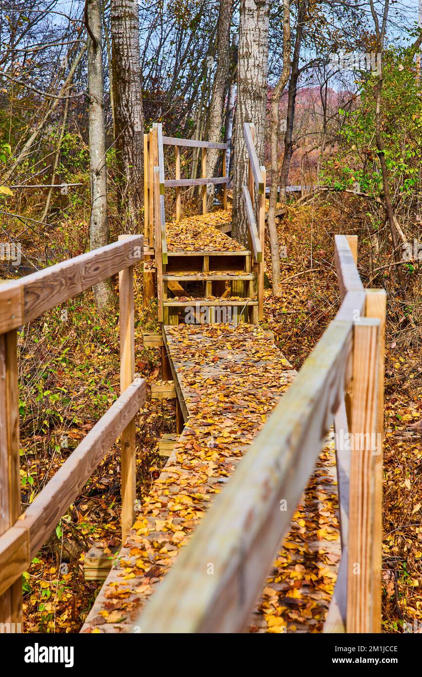 Waldpromenade durch die Wälder von Michigan mit Herbstblättern Stockfoto