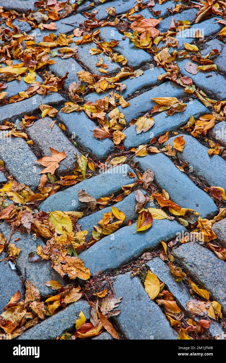 Detaildarstellung des Ziegelmusters auf dem Boden mit Herbstlaub Stockfoto