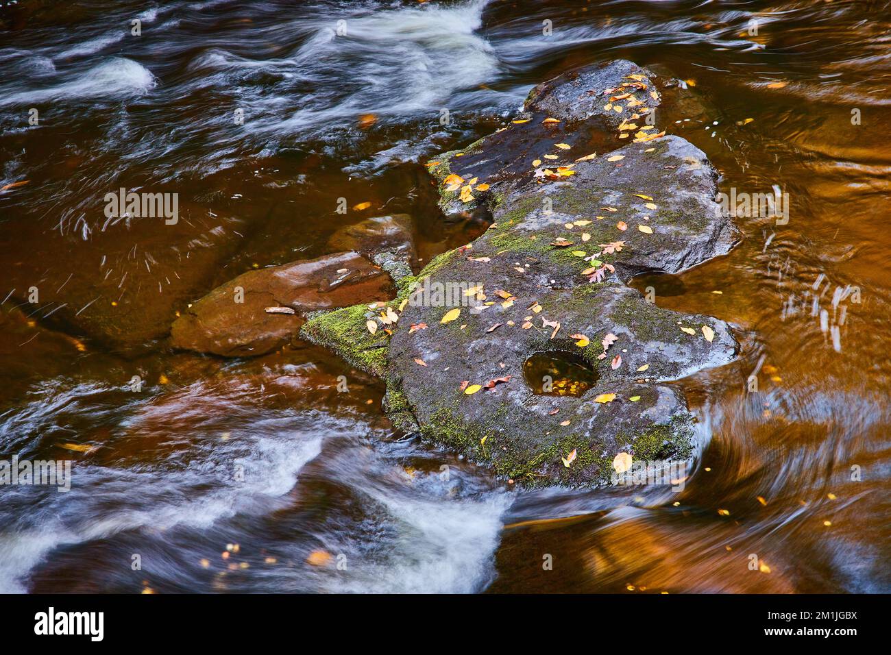 Blätter und moosbedeckte, geschnitzte Felsen inmitten eines sanft wütenden Flusses im Detail Stockfoto