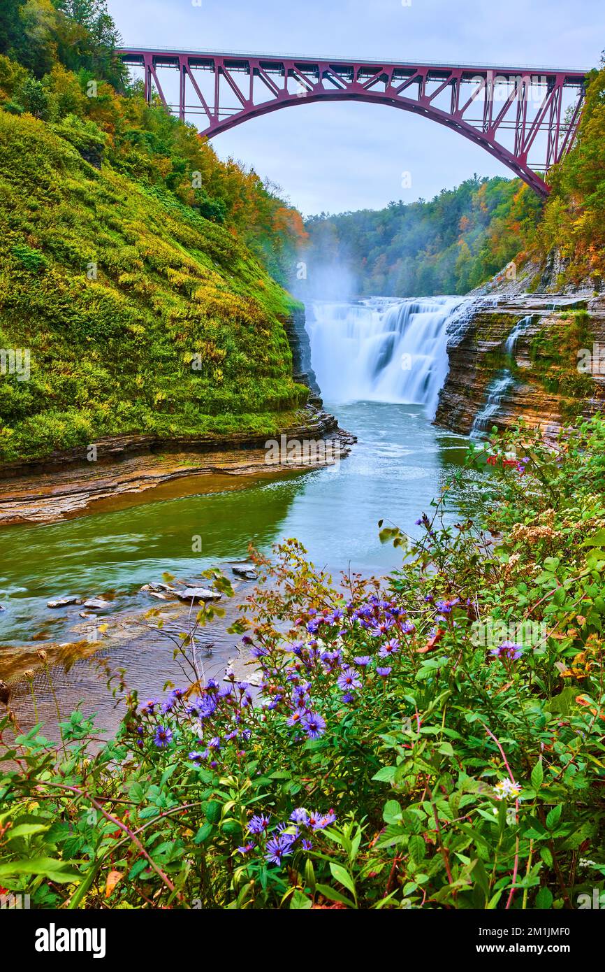 Atemberaubender Wasserfall in der Schlucht mit einer bogenförmigen Bahnbrücke über der Schlucht und violetten Feldblumen davor Stockfoto
