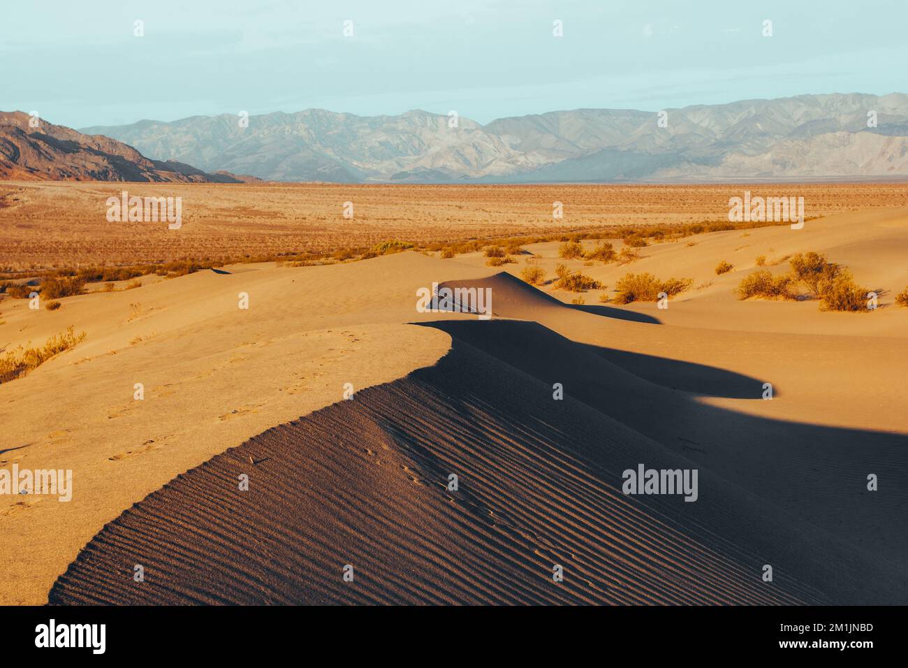 Mesquite flache Sanddünen, Death Valley Nationalpark, Kalifornien Stockfoto