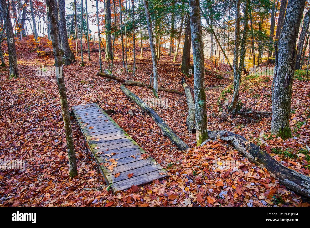 Kleine Wanderbrücke im Wald über einem trockenen Bach mit Orangenblättern bedeckt Stockfoto