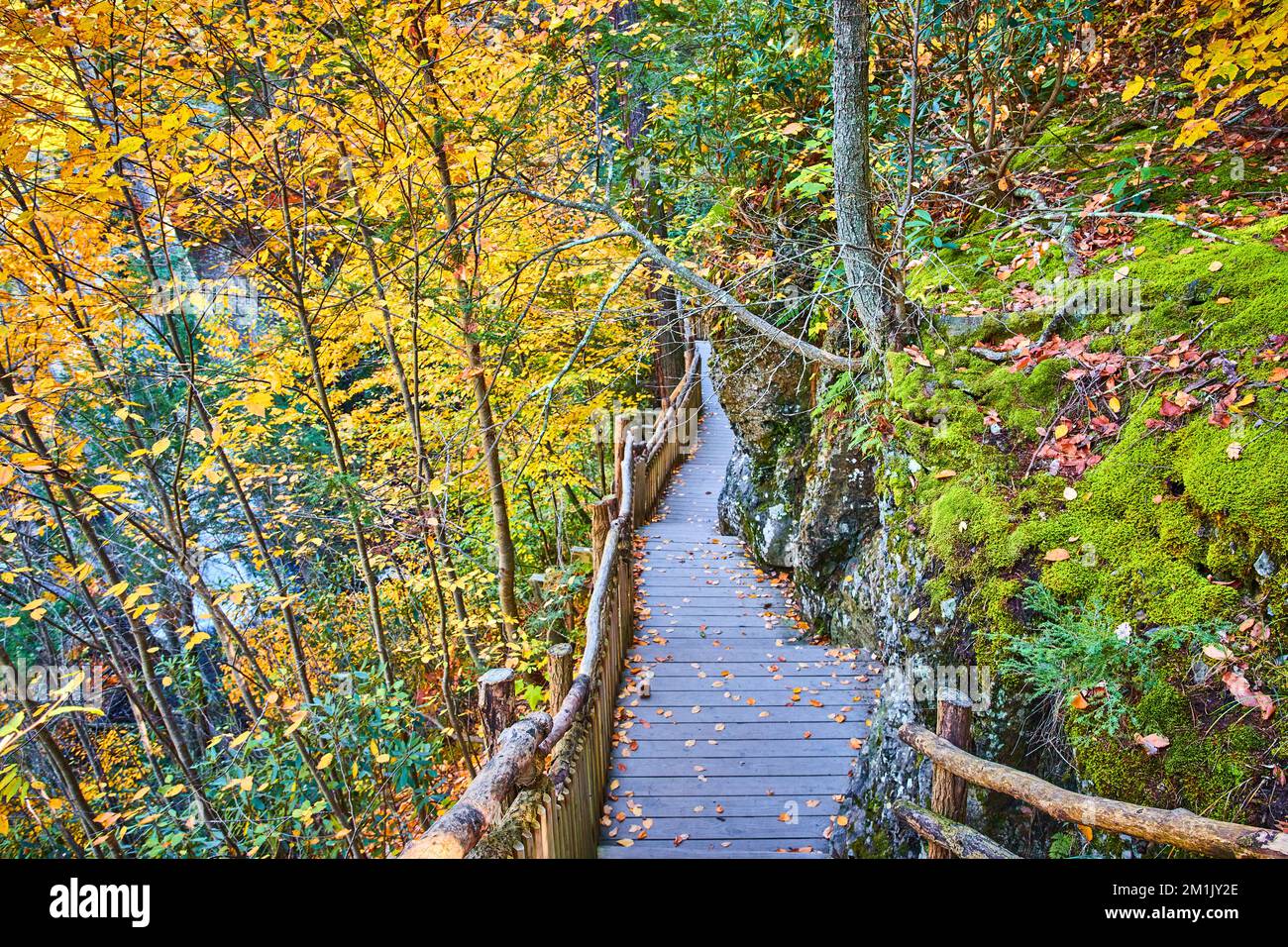 Herbstberge umgeben moosbedeckte Klippen mit Holzsteg-Wanderweg gegen Felsen Stockfoto