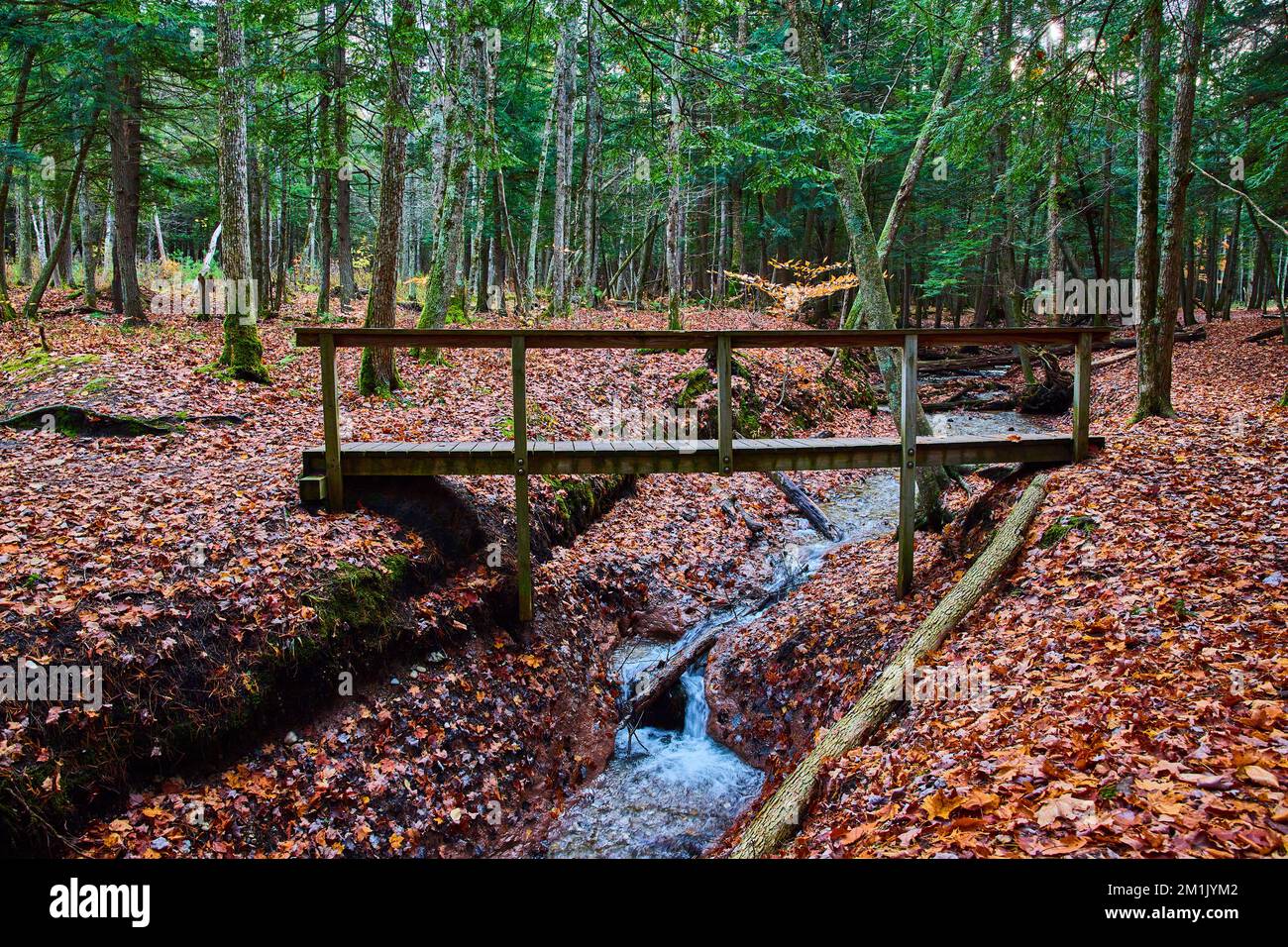 Im späten Herbst überquert die Holzbrücke den kleinen Bach im Waldpark mit orangefarbenen Blättern Stockfoto