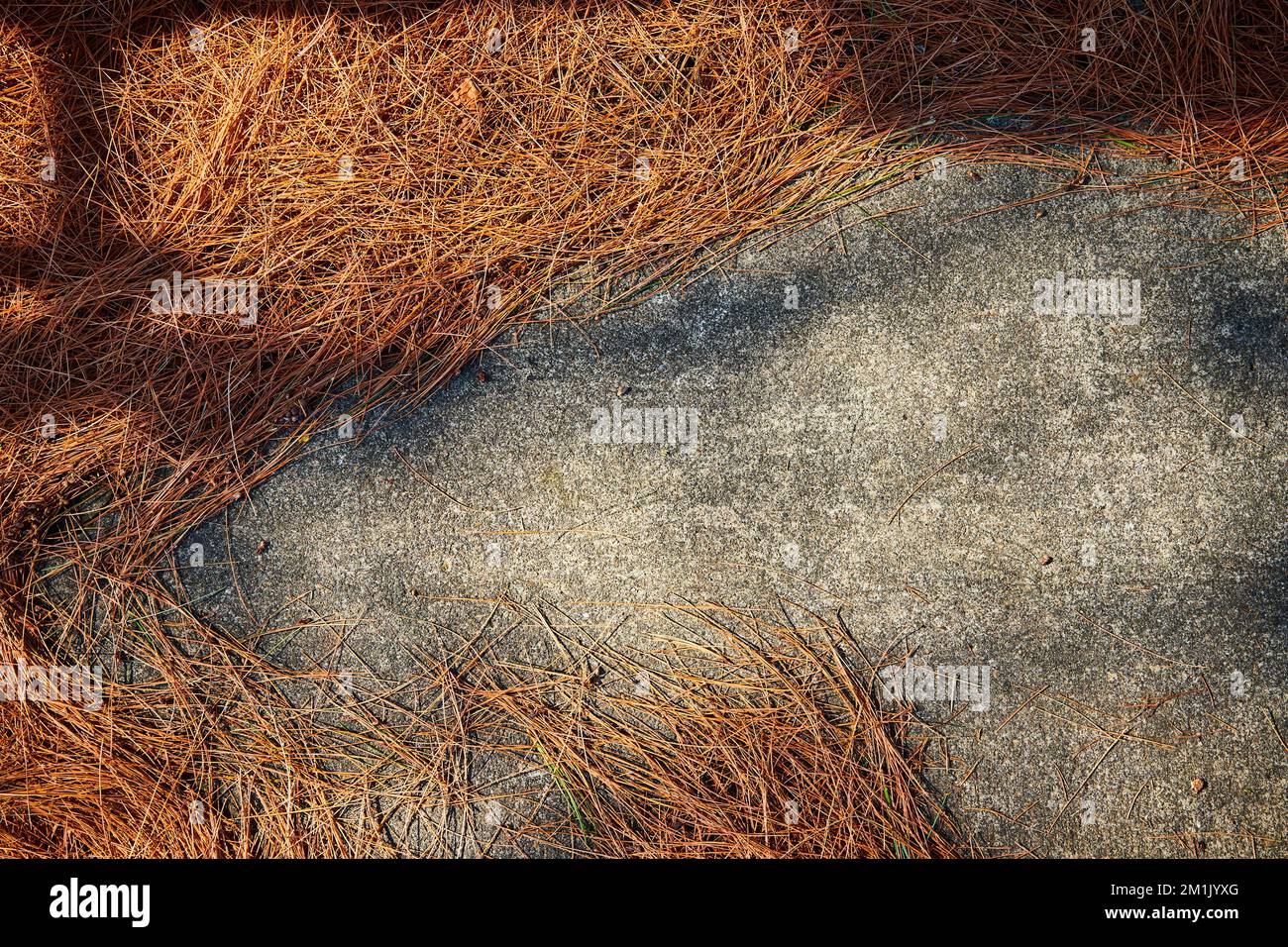 Alte Zementstruktur mit braunen Piniennadeln Stockfoto