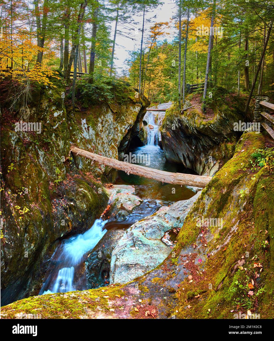 Panoramablick auf Augenhöhe bis zum Wasserfall, der durch die enge moosartige Schlucht im Fall Vermont Wald ragt Stockfoto