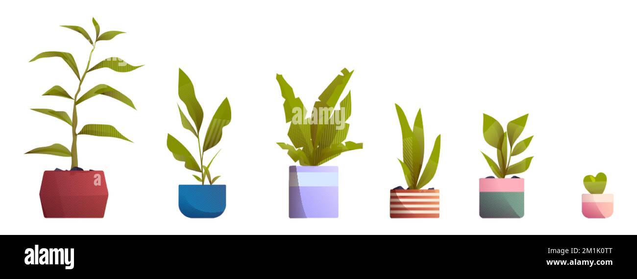 Pflanzen in Töpfen für die Innendekoration zu Hause und im Büro. Vasen mit Blumen, Zimmerpflanzen mit grünen Blättern, isoliert auf weißem Hintergrund, Vektorfilm Stock Vektor
