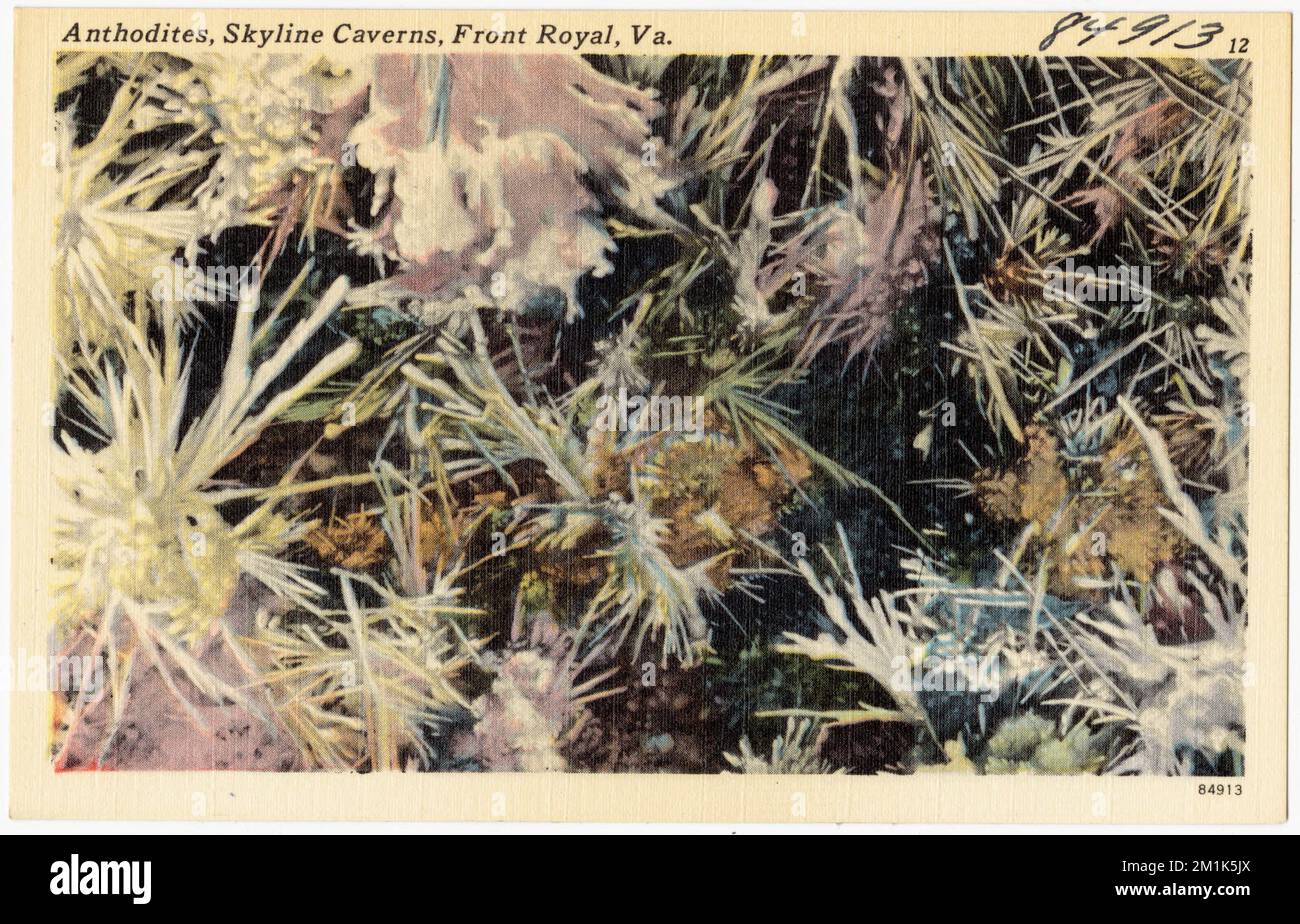 Anthoditen, Skyline Caverns, Front Royal, Virginia , Höhlen, Tichnor Brothers Collection, Postkarten der Vereinigten Staaten Stockfoto