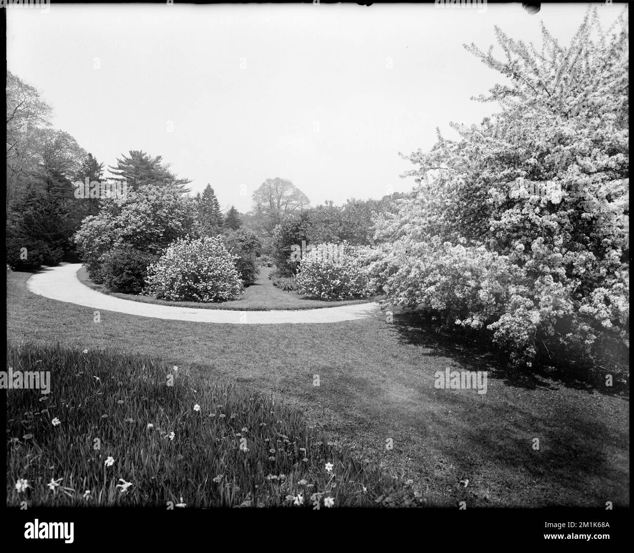 Apfelblütenbaum und Blumen, Sargent Anwesen, Blumen, Anwesen, Apfelbäume, Sargent, Charles Sprague, 1841-1927. Leon Abdalian Kollektion Stockfoto