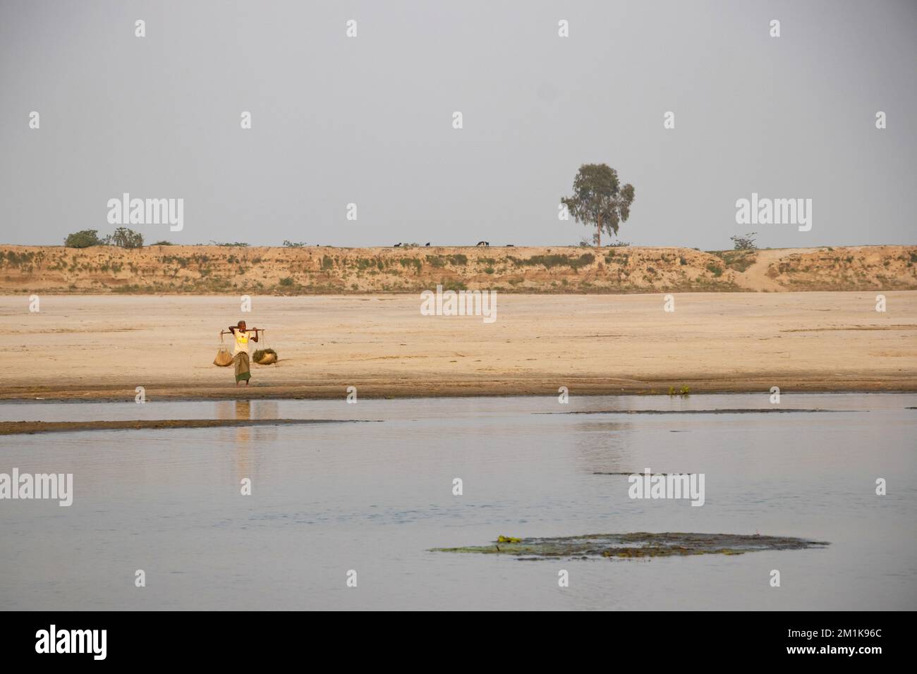 Bogura, Rajshahi, Bangladesch. 13.. Dezember 2022. Passagiere überqueren ein trockenes Flussbett zu Fuß in der Nähe des Jamuna River in Bogura, Bangladesch. Die meisten Wasserstraßen entlang des Jamuna-Beckens im Norden von Bangladesch sind bereits ausgetrocknet und haben riesige Sandbänke geschaffen, die die Boote und die Fahrgastbewegungen stören. Die Sandbänke, in Bengali als „chars“ bezeichnet, haben keine feste Position. Der Fluss legt sie in einem Jahr ab, sehr oft zur späteren Zerstörung, und legt sie in der nächsten Regenzeit wieder ab. Pendler müssen auf der Suche nach befahrbaren Zweigen des Flusses einen weiten Weg zurücklegen. Das sind sie Stockfoto