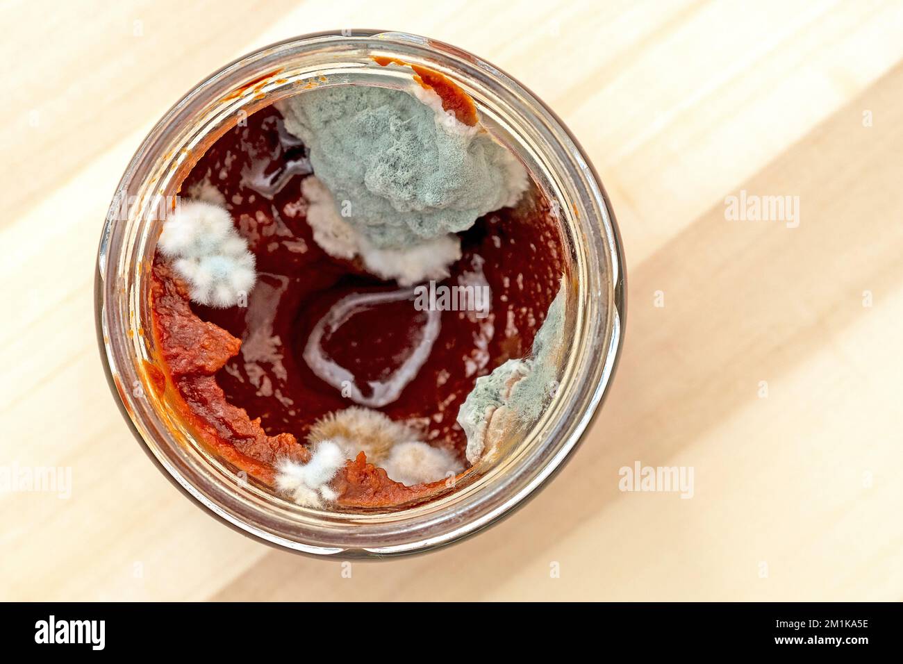 Draufsicht einer Dose mit alter schimmeliger Tomatenpaste. Essen mit Schimmelpilz Stockfoto