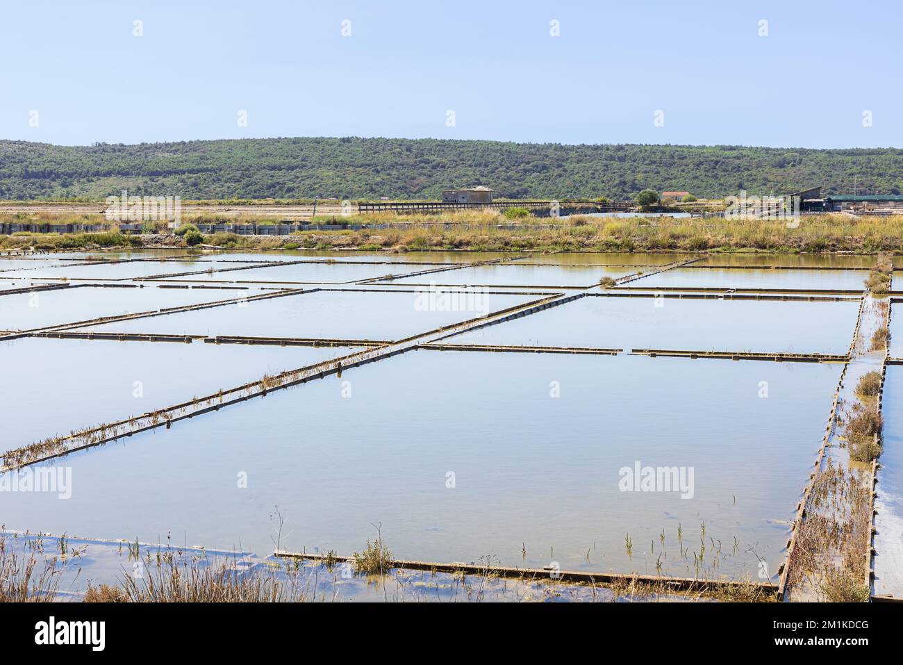 Blick auf die Salzpfannen in Sicciole, ein Feuchtgebiet und ein Brutplatz für Wasservögel Stockfoto