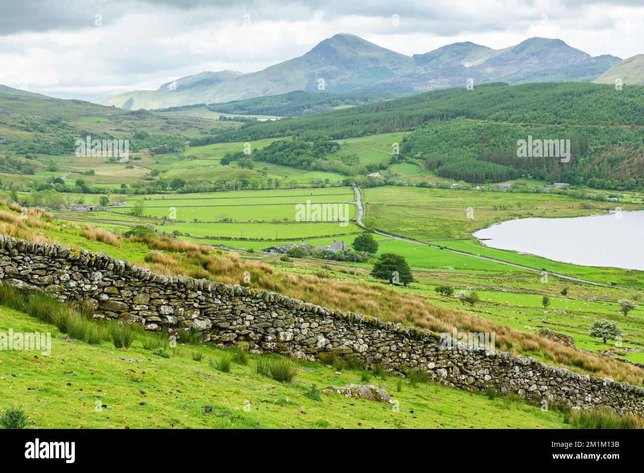Bergsteiger in Nordwales, Großbritannien. Ländliche Landschaften, grünes Gras, wolkiger Himmel, selektiver Fokus Stockfoto