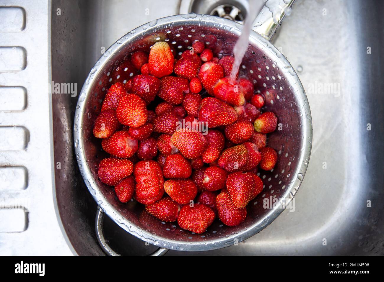 Frisch gepflückte, helle Erdbeeren werden in einem Metallsieb in einem alten Waschbecken gewaschen. Stockfoto