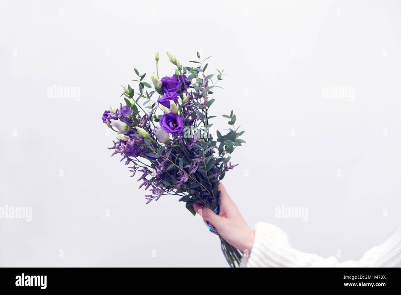 Kleiner violetter Strauß. In menschlicher Hand halten. Weißer Hintergrund für Text. Geschenk zum Frauentag. Stockfoto