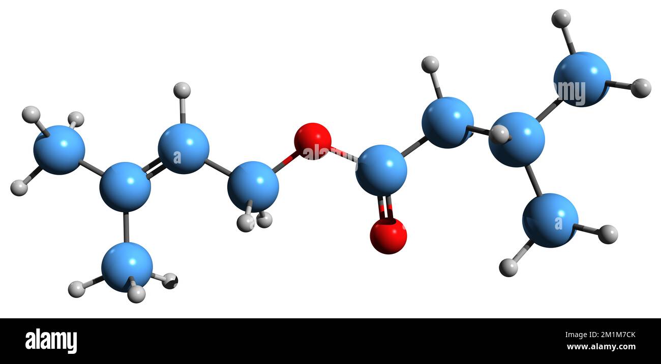 3D-Bild einer Prenylisovalerat-Skelettformel - molekularchemische Struktur des auf weißem Hintergrund isolierten 3-Methyl-2-buten-1-yl-Esters Stockfoto