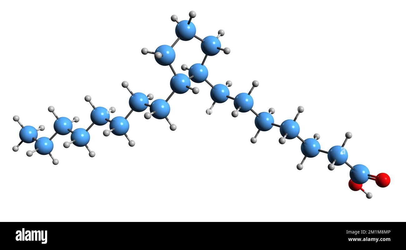3D-Bild der Prostaninsäure-Skelettformel - molekularchemische Struktur gesättigter Fettsäuren, isoliert auf weißem Hintergrund Stockfoto