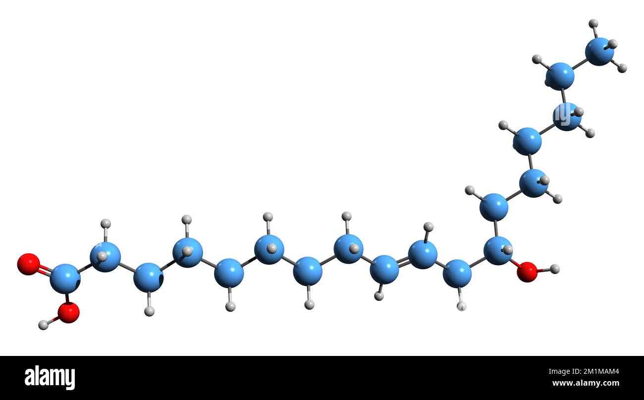 3D-Bild der Ricinolsäure-Skelettformel - molekularchemische Struktur der ungesättigten Omega-9-Fettsäure, isoliert auf weißem Hintergrund Stockfoto
