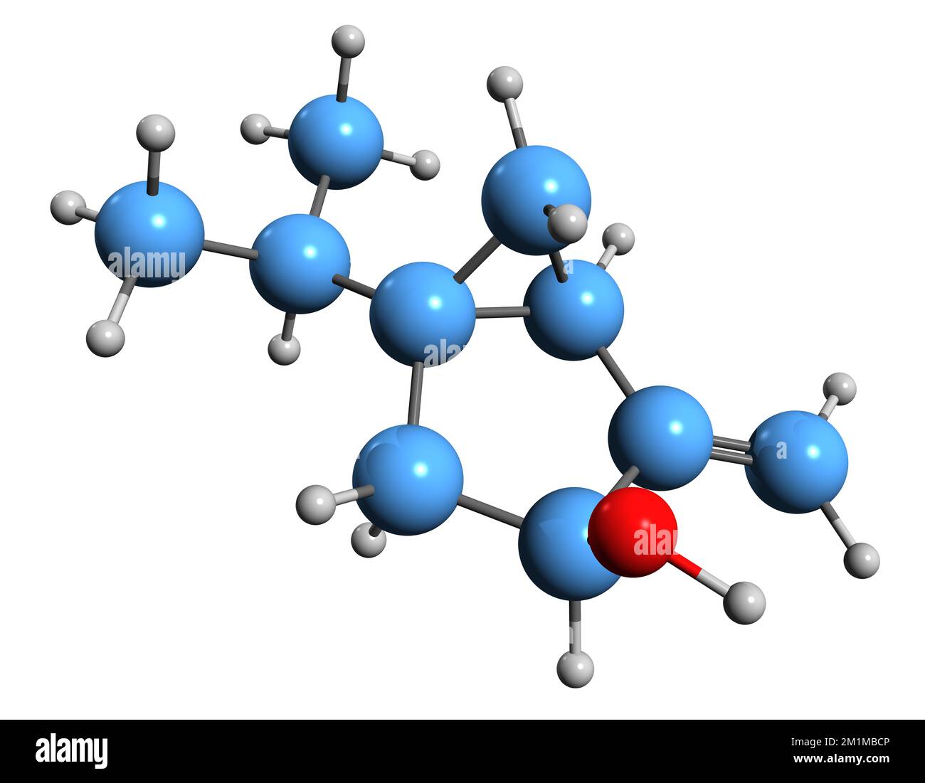 3D-Bild der Sabinol-Skelettformel - molekularchemische Struktur des auf weißem Hintergrund isolierten Monoterpenalkohols Stockfoto