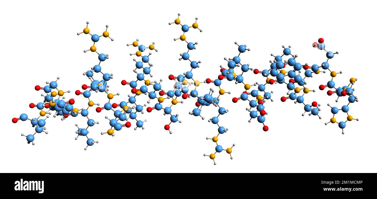 3D-Bild der Secretin-Skelettformel - molekularchemische Struktur des auf weißem Hintergrund isolierten Wasserhomöostase-Hormons Stockfoto