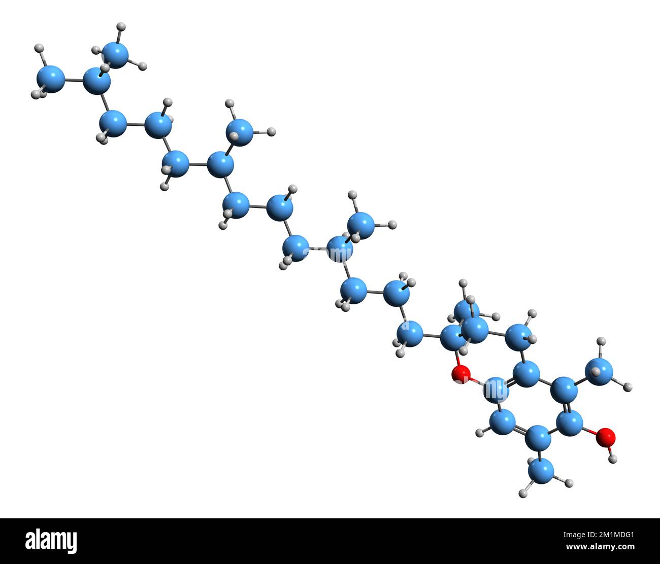 3D-Bild der Sigma-Tocopherol-Skelettformel - molekularchemische Struktur des auf weißem Hintergrund isolierten Vitamin E Stockfoto