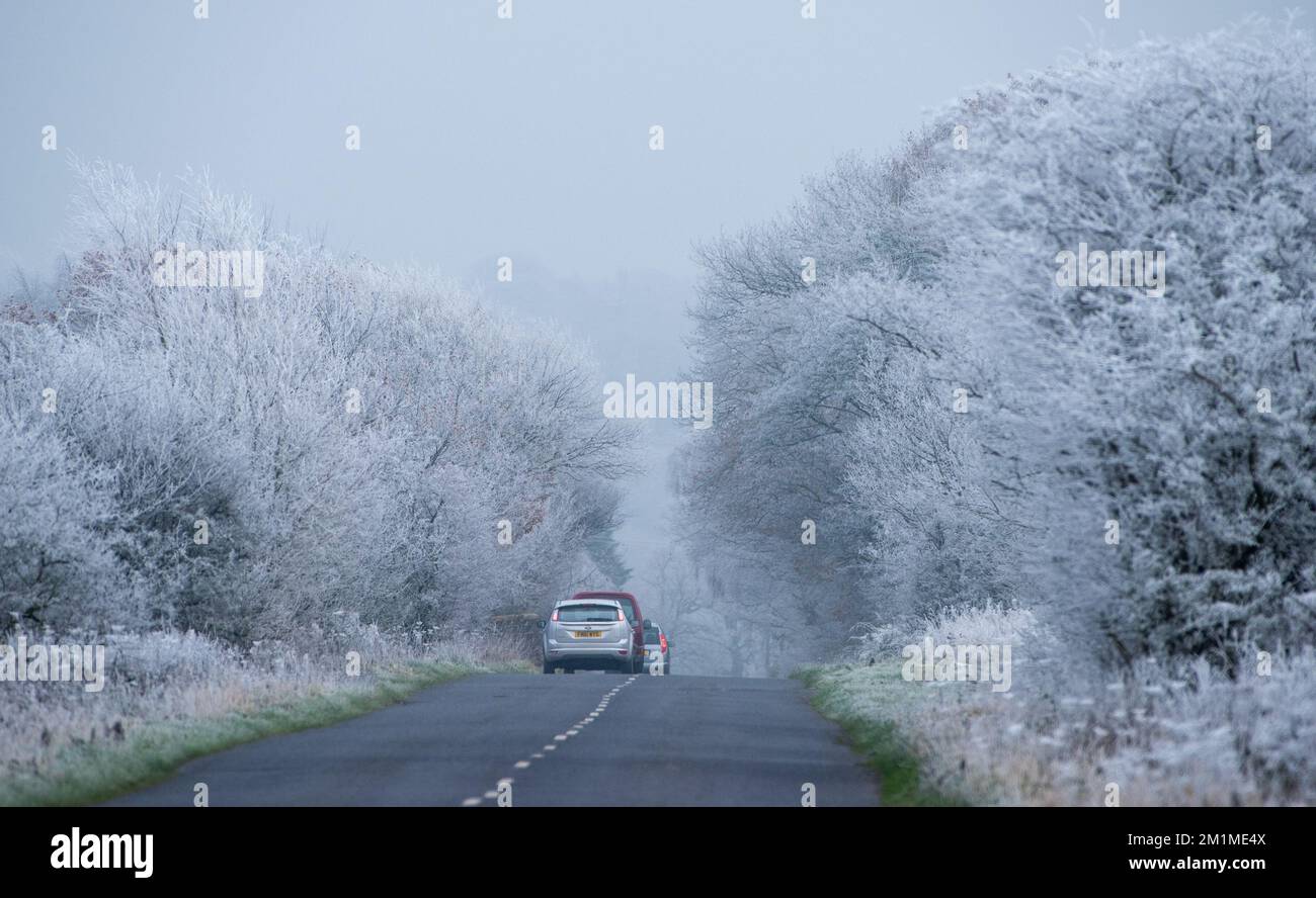 Harrogate, North Yorkshire, Großbritannien. 13.. Dezember 2022. Frostbäume in der Nähe von Harrogate, North Yorkshire. Kredit: John Eveson/Alamy Live News Stockfoto