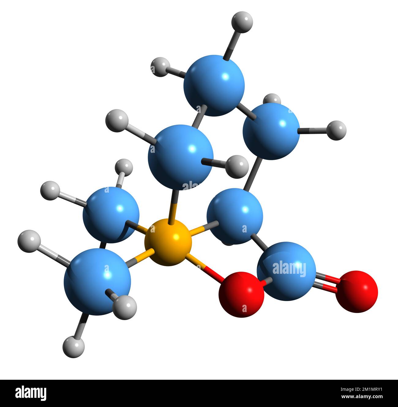 Methylprolin methylbetain -Fotos und -Bildmaterial in hoher Auflösung ...