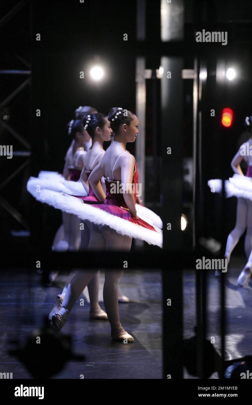 20120629 ANTWERPEN, BELGIEN Das Bild zeigt eine besondere