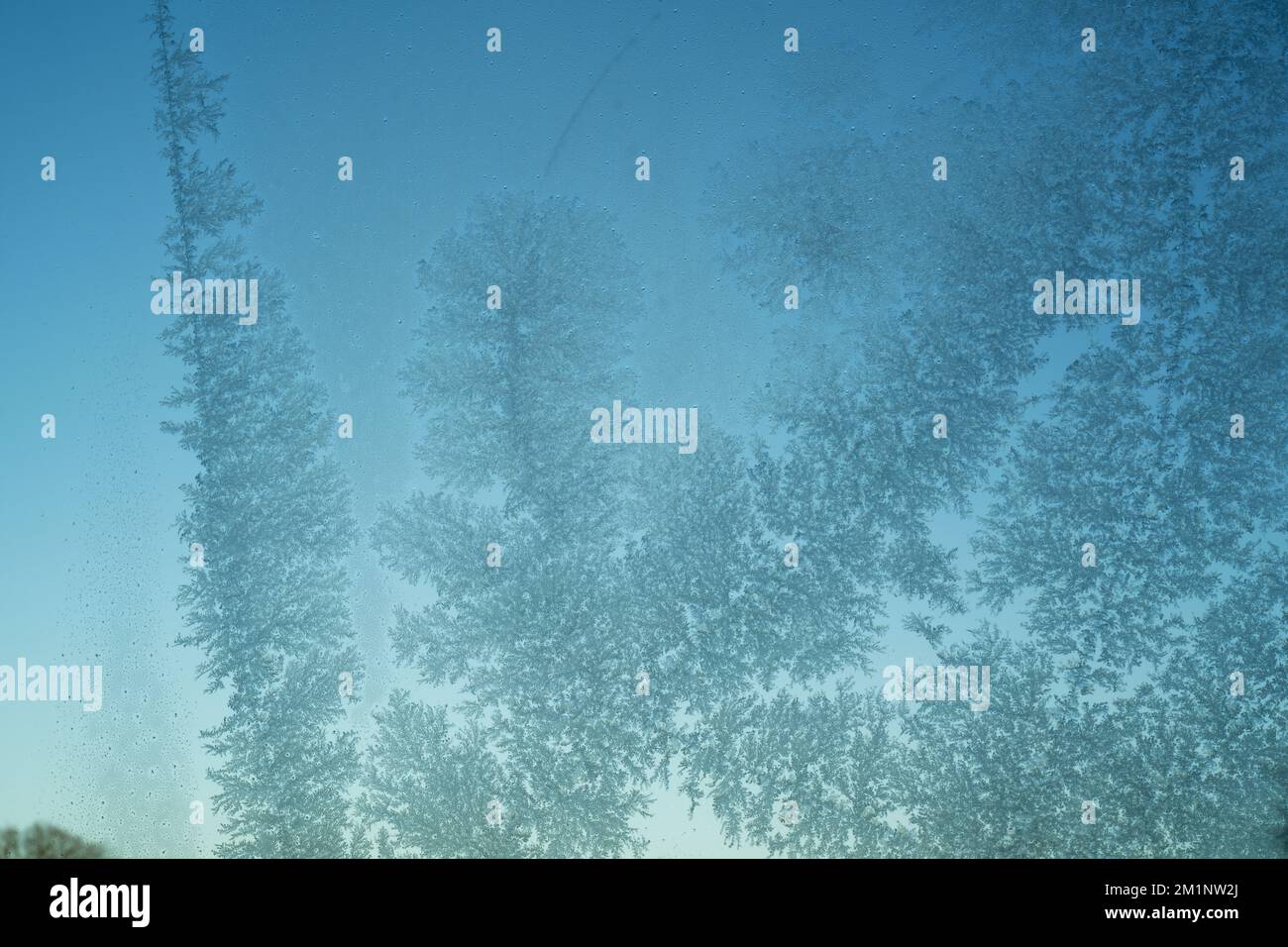 Frostmuster auf der Glasscheibe. Milchglas mit blauem Himmel dahinter. Empfindliche Kristalle, die sich bei kaltem Wetter bilden. Stockfoto