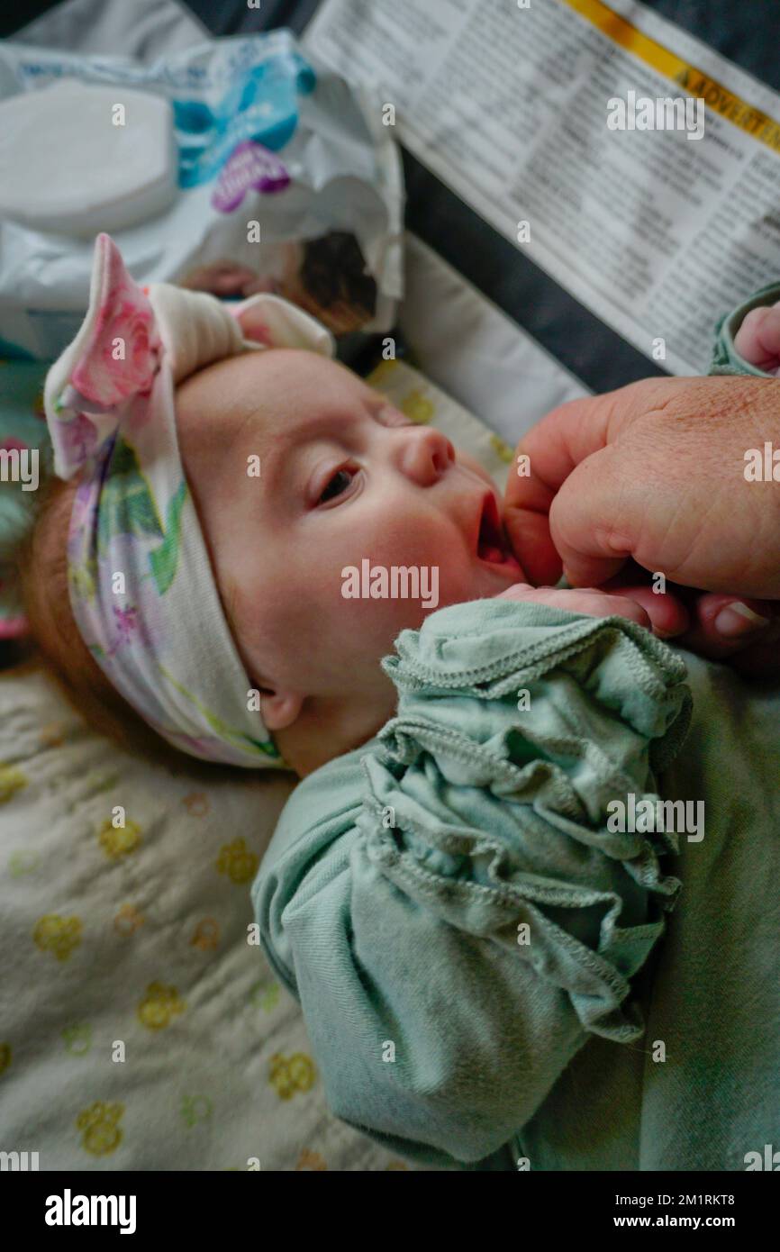 2 Wochen altes Baby, das beim Streicheln des Gesichts einen Wurzelreflex auspuckt. Stockfoto