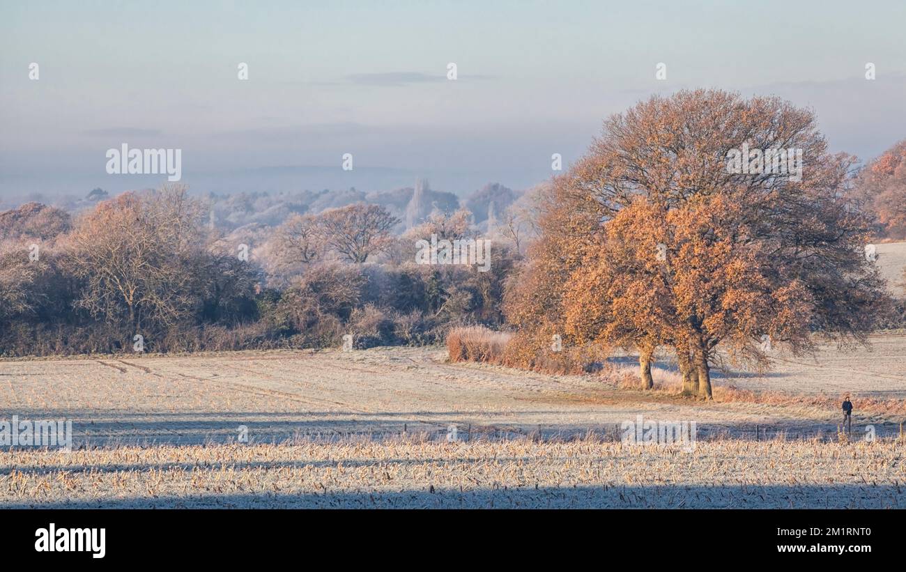 West Sussex im Winter Stockfoto