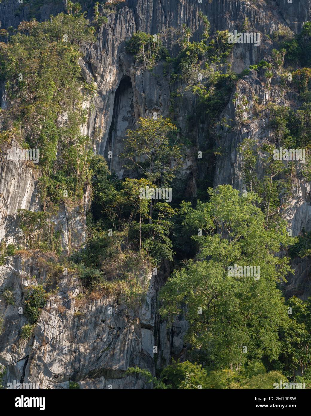 Landschaftsblick am Morgen mit Bäumen im Sonnenlicht, die auf Karst- oder Kalksteinfelsen im malerischen Bergtal, Chiang Dao, Chiang Mai, Thailand wachsen Stockfoto