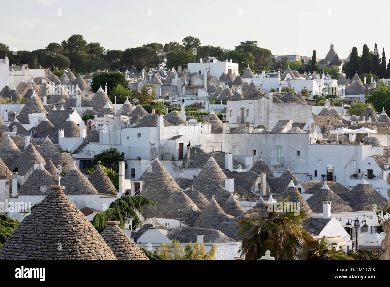 Blick über die konischen Steindächer traditioneller Trulli-Häuser in der Altstadt, Alberobello, Apulien, Italien, Europa Stockfoto