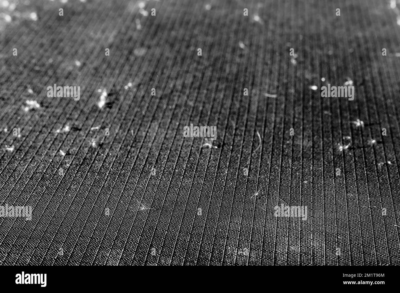Wind streute Rohrsaat auf einem Outdoor-Terrassenmöbel-Kissen. Stockfoto