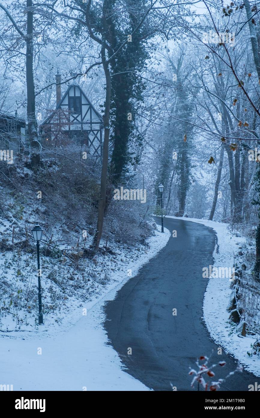 Straße durch verschneiten Wald, Harz-Gebirge, Deutschland Stockfoto