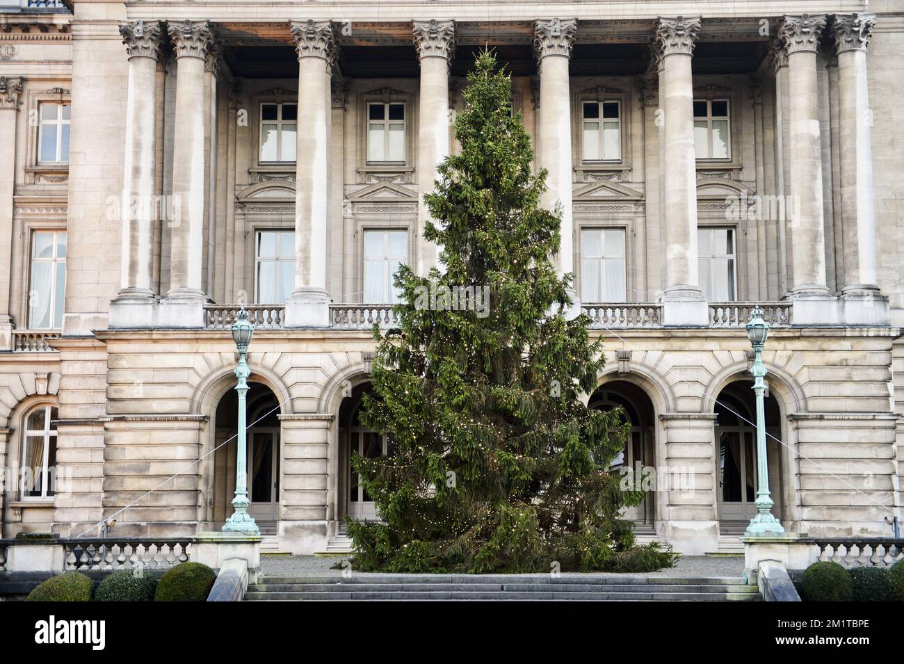 20131209 Uhr - BRÜSSEL, BELGIEN: Abbildung zeigt den Weihnachtsbaum im Königspalast in Brüssel, Montag, 09. Dezember 2013. Der Baum stammt aus Waimes, Provinz Lüttich. BELGA FOTO LAURIE DIEFFEMBACQ Stockfoto