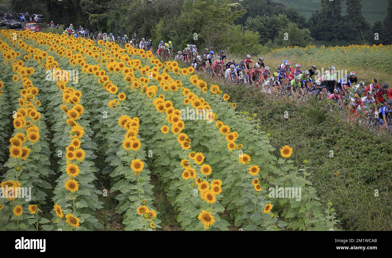 Abbildung zeigt das Rudel von Radfahrern in Aktion während der Etappe 19 der 101.. Ausgabe des Radrennen Tour de France, 208,5 km von Maubourguet Pays du Val d'Adour nach Bergerac, Frankreich, am Freitag, den 25. Juli 2014. BELGA FOTO YUZURU SUNADA Stockfoto