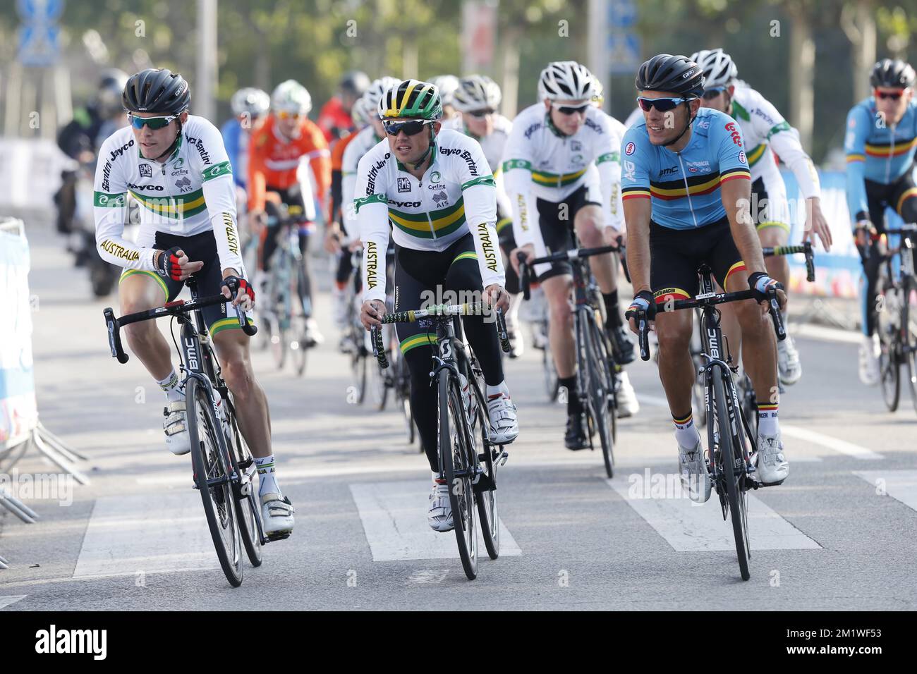Australische Rohan Dennis, australische Simon Gerrans und belgische Philippe Gilbert, die am Donnerstag, den 25. September 2014, bei der UCI-Radweltmeisterschaft in Ponferrada, Spanien, in Aktion gezeigt wurden. Stockfoto