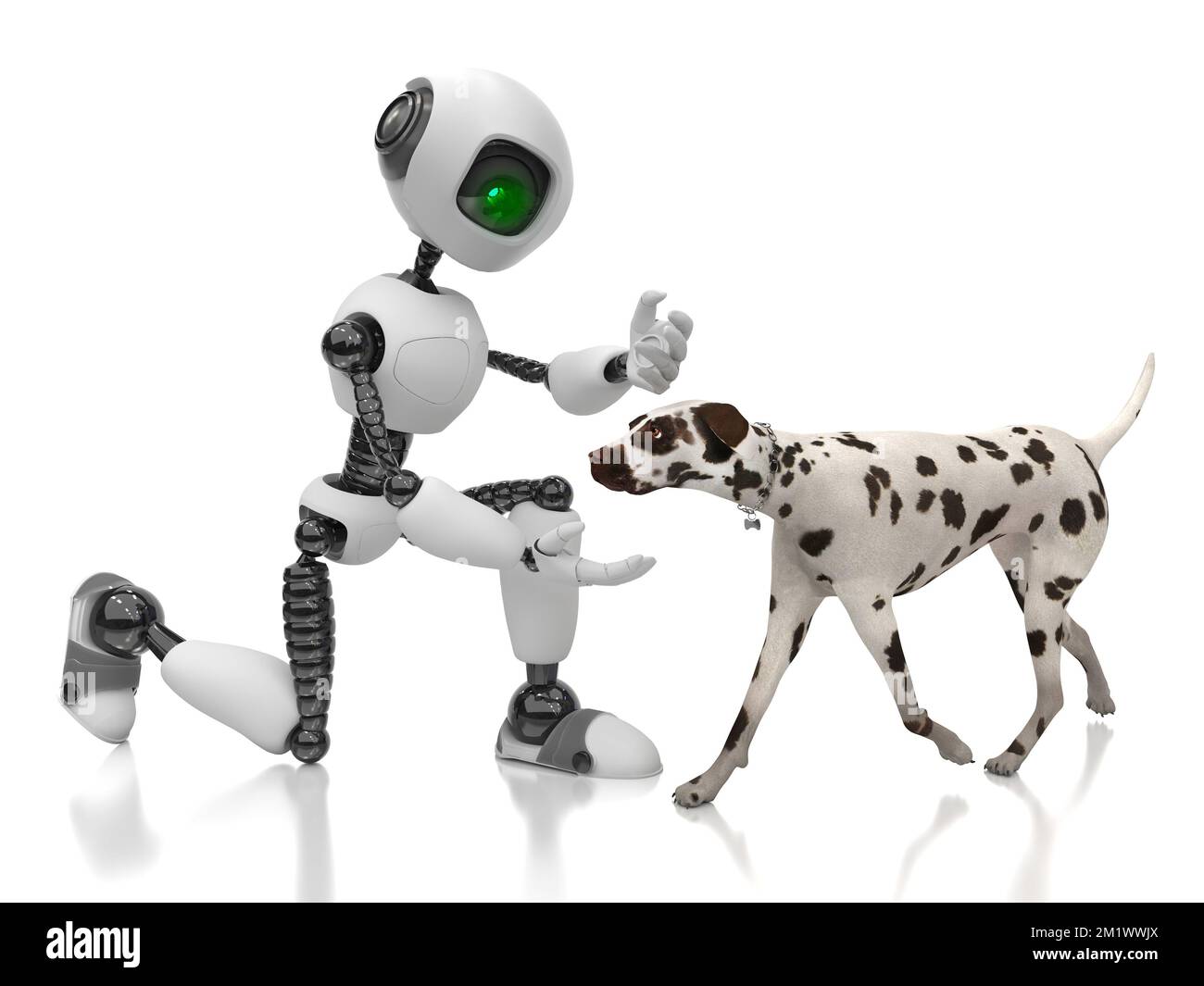 Ein humanoider Roboter spielt mit einem dalmatinischen Hund. Zukunftskonzept mit intelligenter Robotik und künstlicher Intelligenz. 3D Rendern auf weißem Hintergrund. Stockfoto